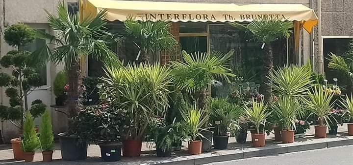 Les Floralies, Maison Brunetta