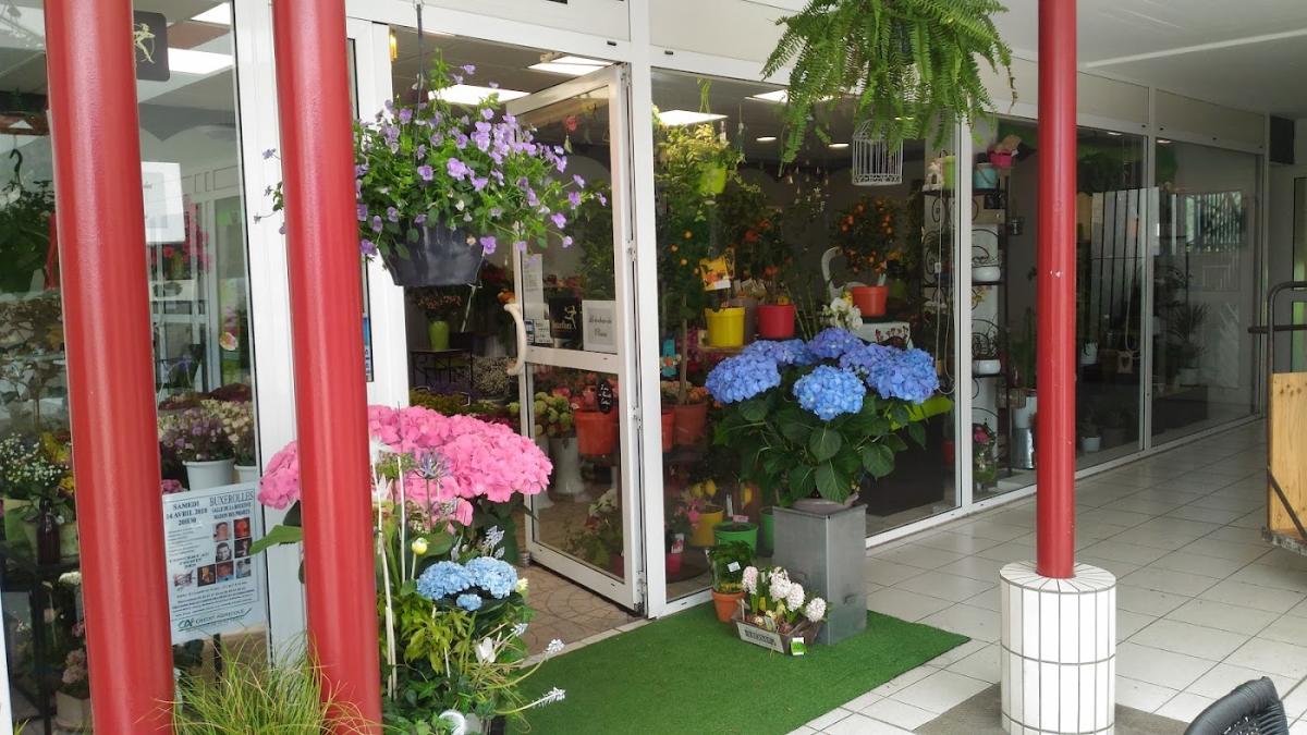 Le Bonheur des Plantes, Fleuriste, Poitiers - Buxerolles.