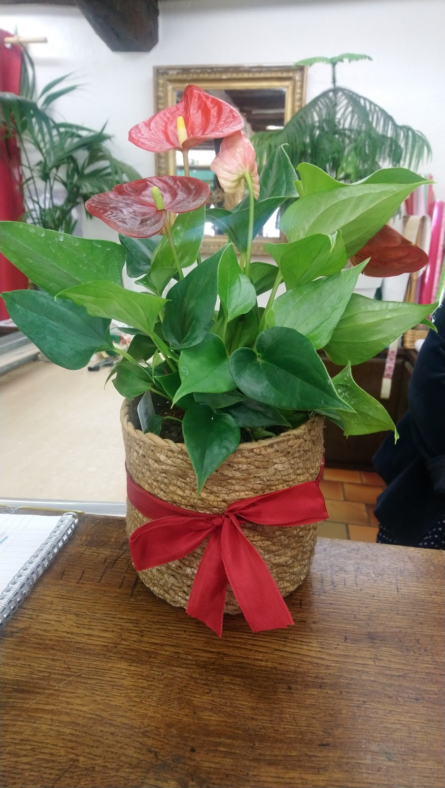 D'Alessandro Séverine