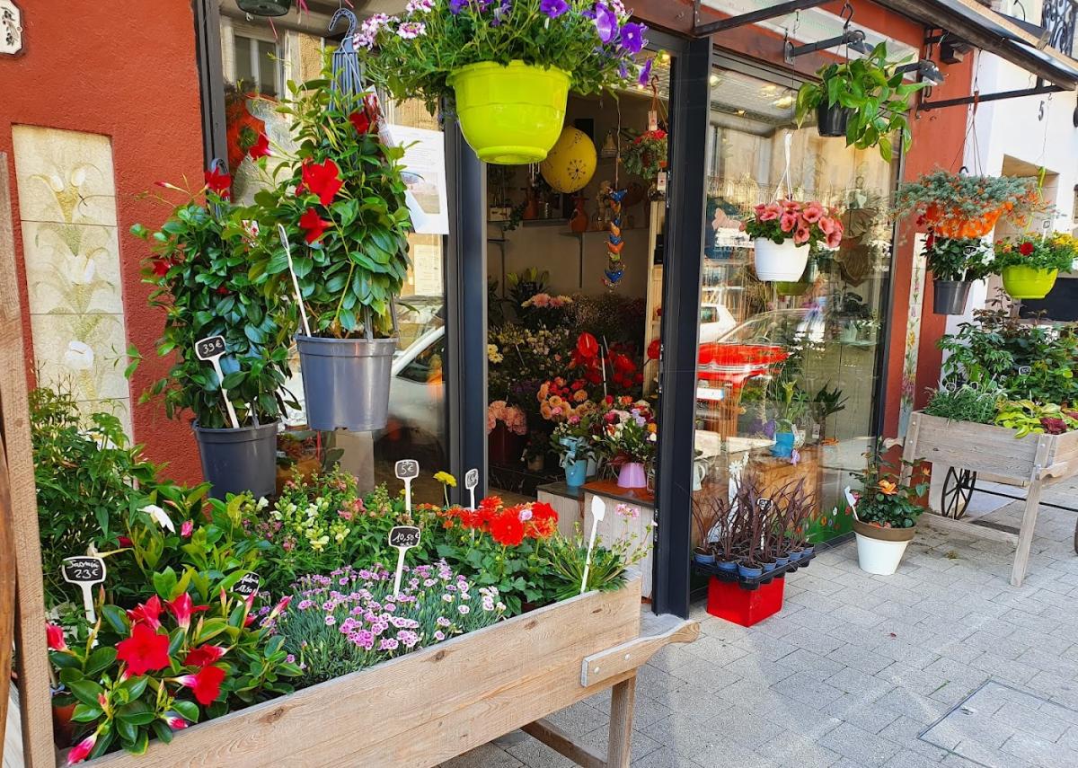 Helene Fleuriste Bedarieux