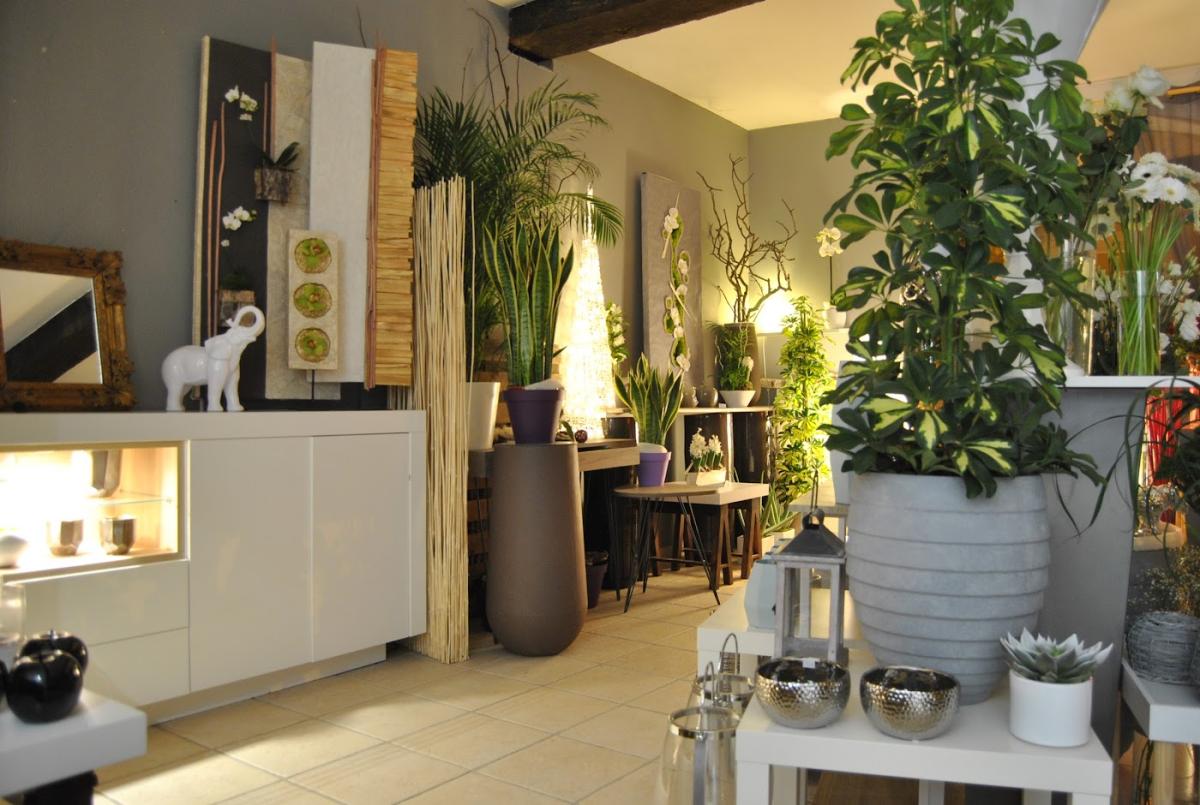 Gaultier Buey - Le studio végétal