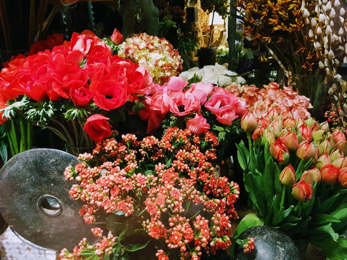 Acanthe Dominique Garniche