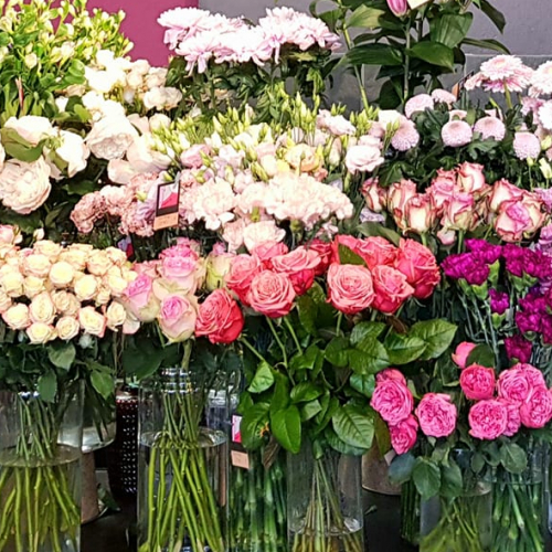 Fleurs des 4 Saisons