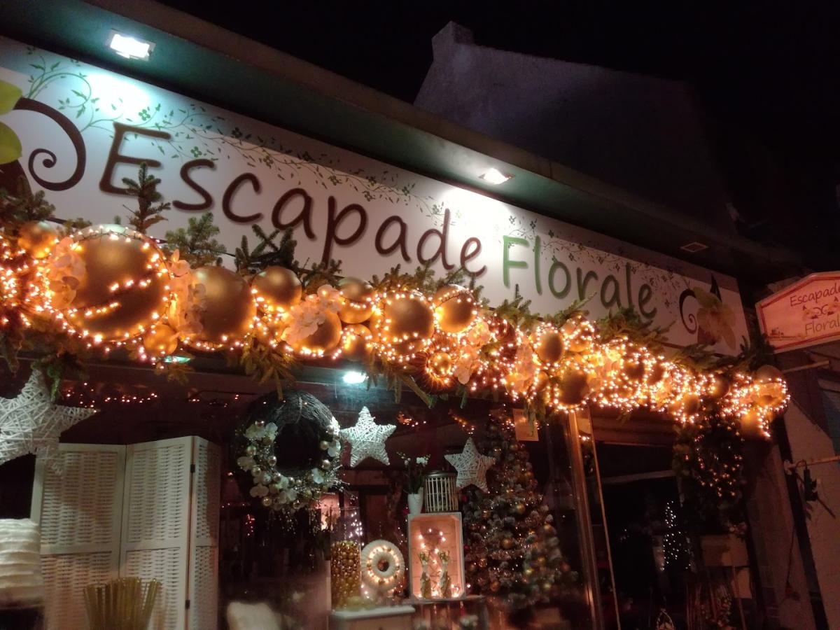 Escapade Florale Roncq