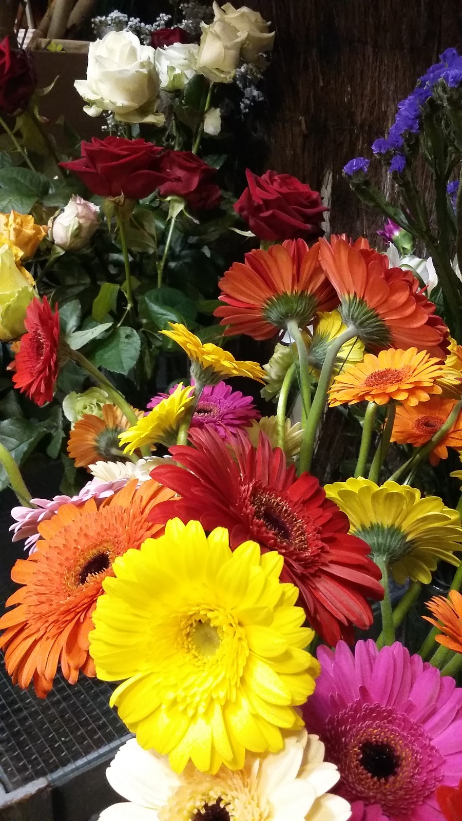 Aux Couleurs de la Nature