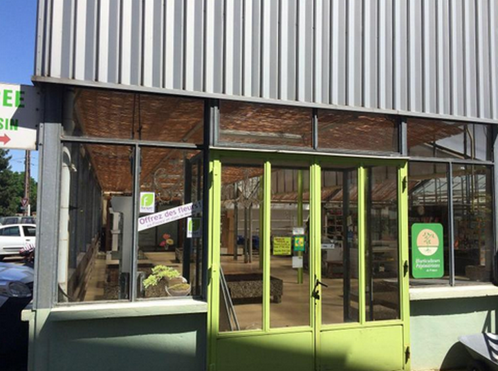 Schmelz FLEURS - Schmelz Pierre Horticulteur