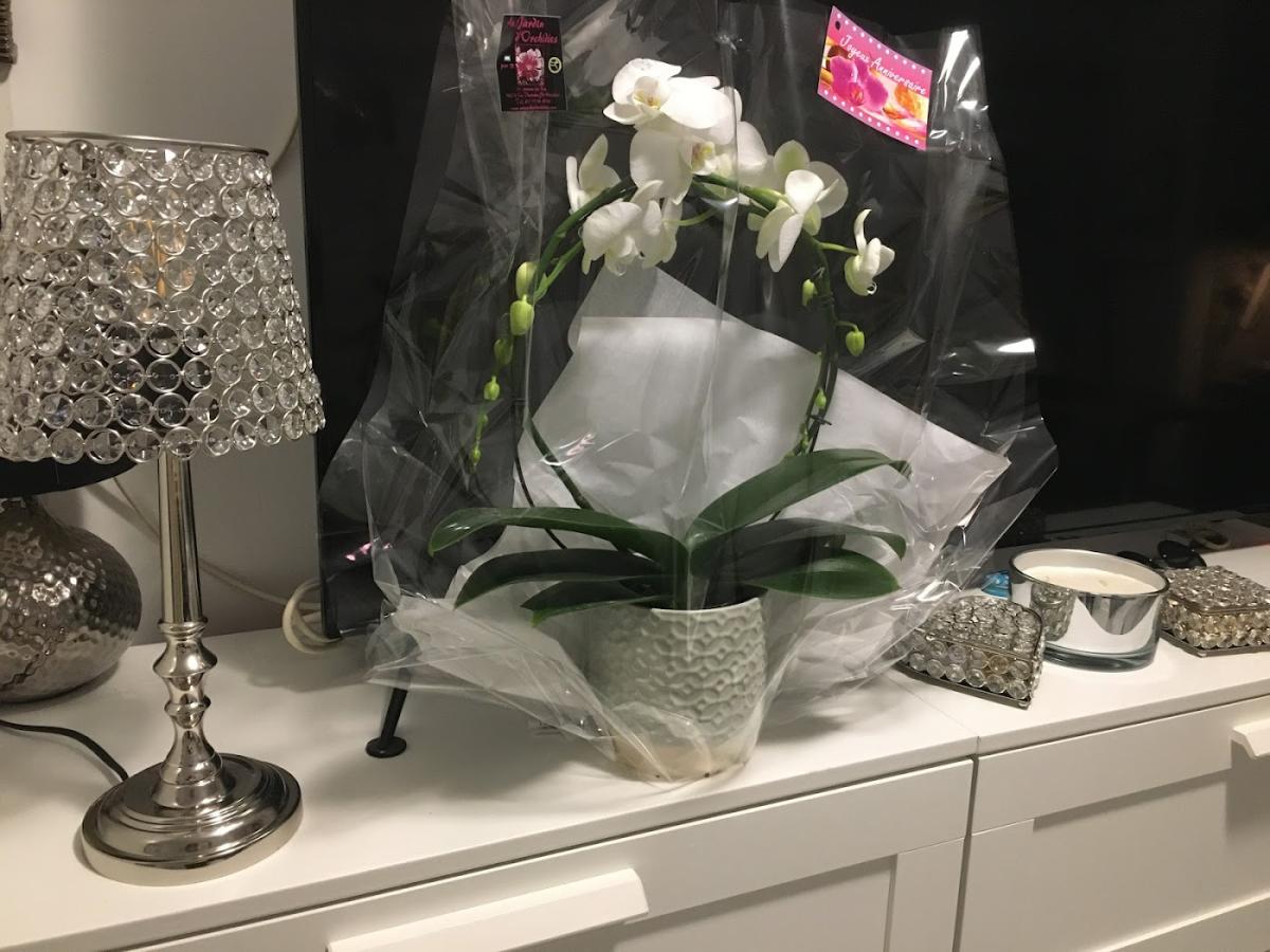 Au jardin d'orchidées