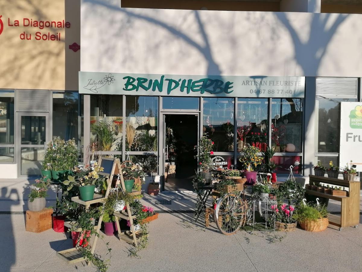 Brin d'Herbe, Artisan Fleuriste Canet