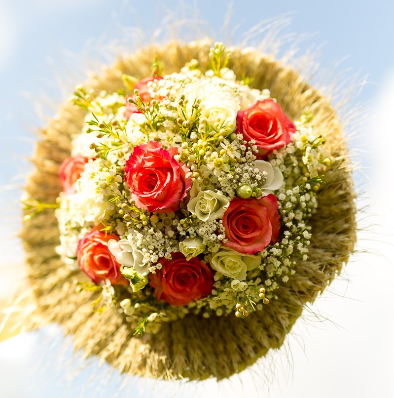 UNE FLEUR DANS LE VENT