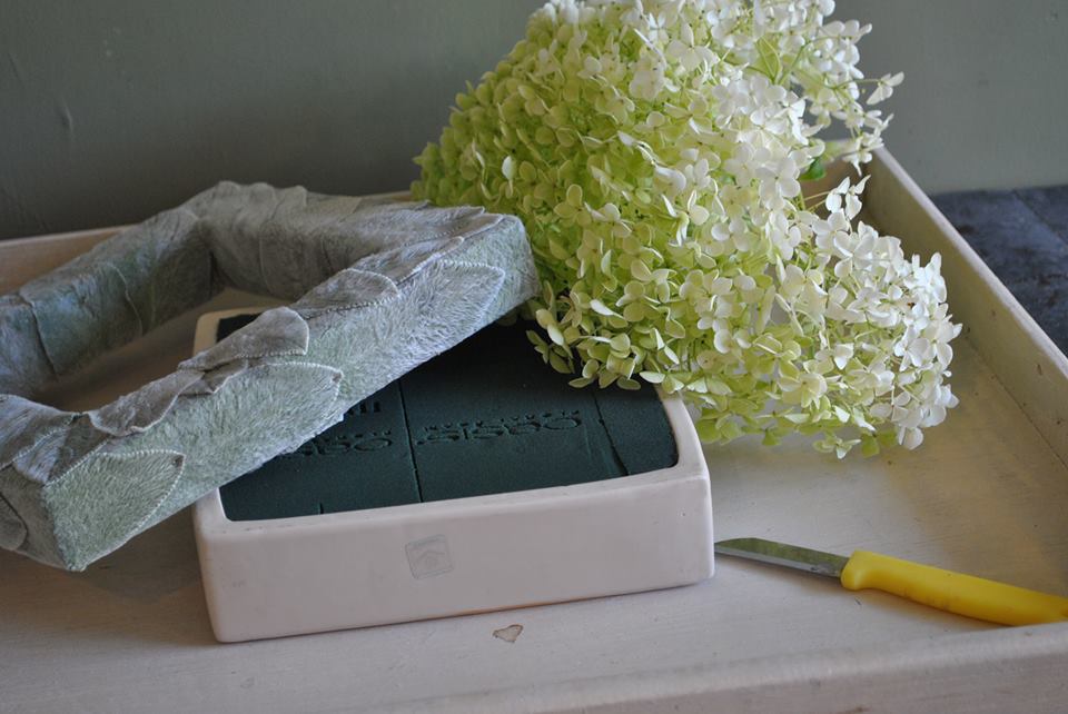 Métamorphose Florale