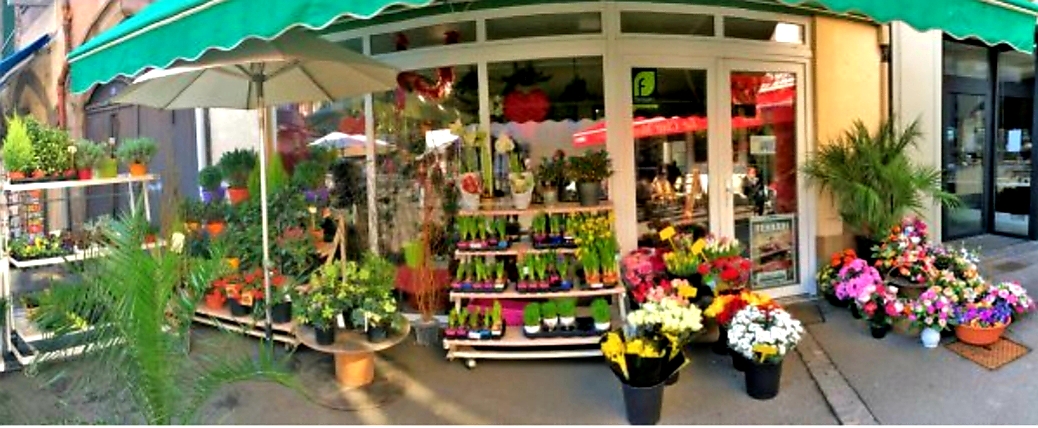 Rosafleurs Fleuriste à Clermont Ferrand