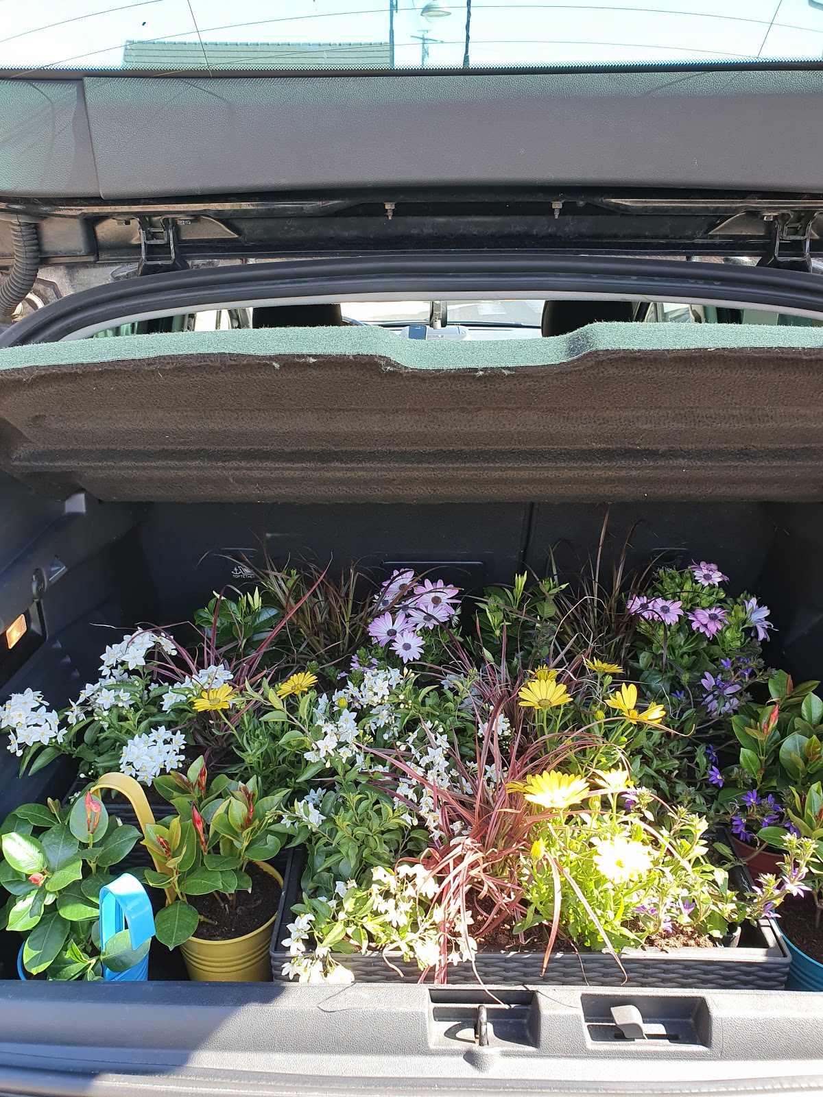 Semences et Plants Kuhn SARL