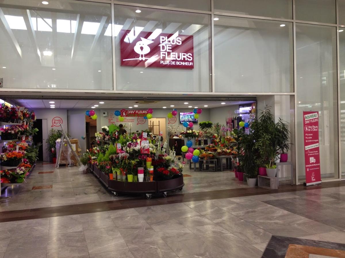 Plus de Fleurs, Plus de Bonheur