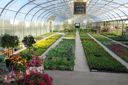 Sonnendrucker Christophe Pépinières