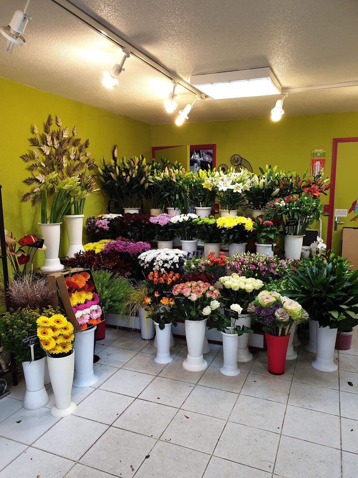 Emilie Urbaniak (Le Jardin d'Emilie)