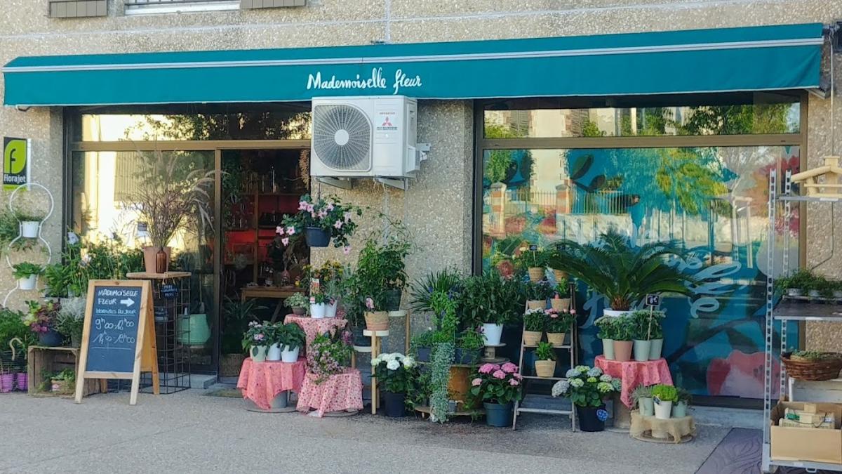 Mademoiselle Fleur