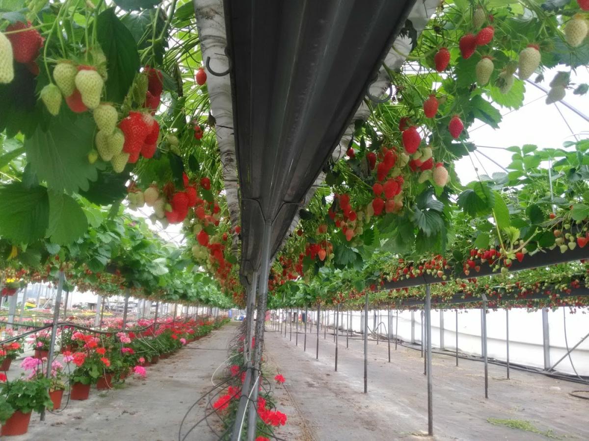 Les Jardins de Champ Rose