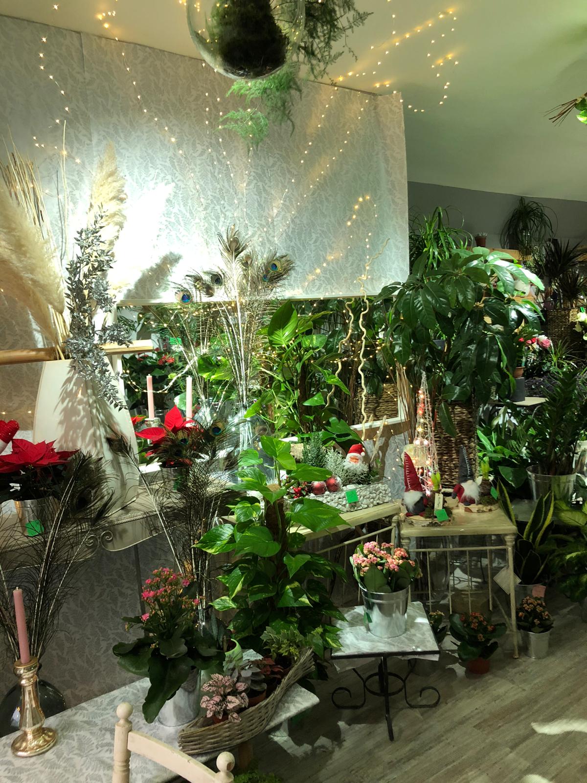 Nicole Fleurs / Amaryllis Fleurs et Déco