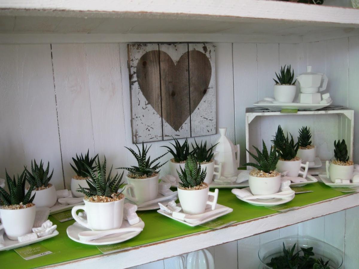 Calathéa Fleurs et Décorations