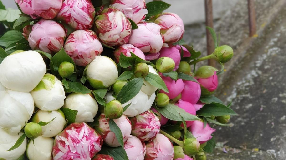 Natur'en fleurs - fleuriste - livraison - Evian