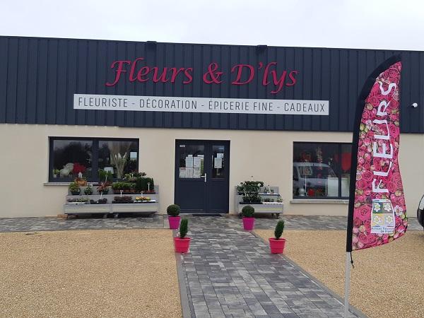 Fleurs & D'Lys Courtisols