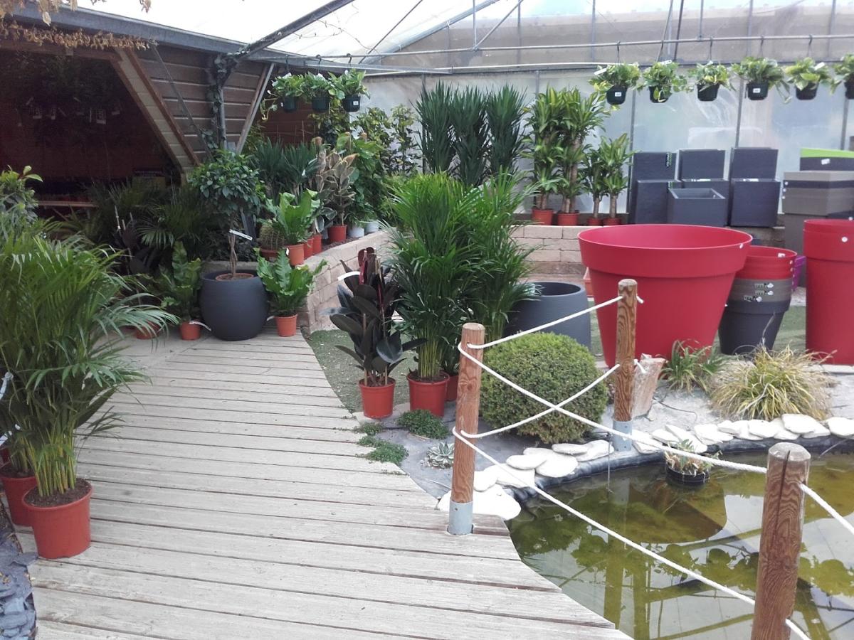 Snc Atlantic Pepiniere