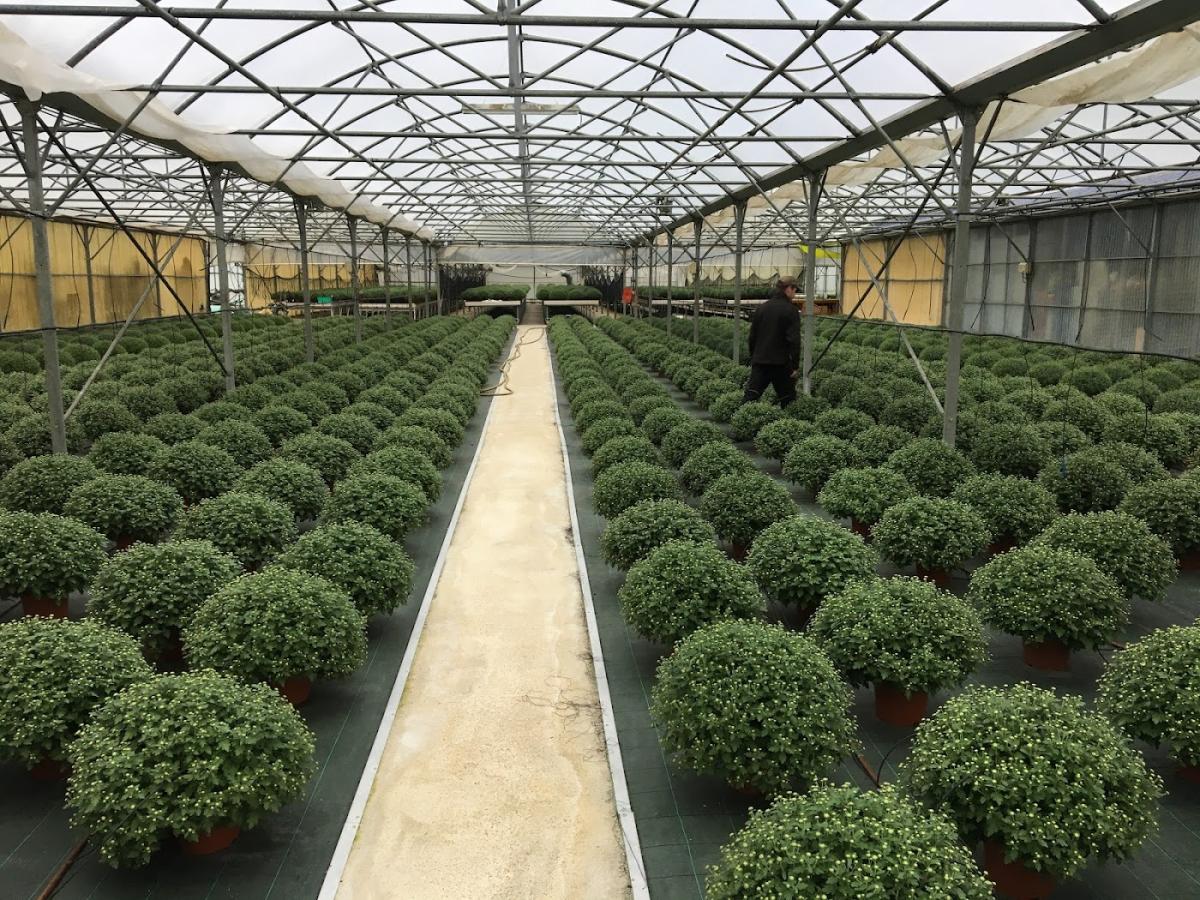 Les serres de plaisance