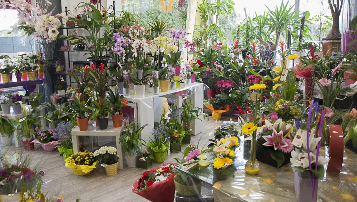 L'Amaryllis - Fleuriste - Bourg-lès-Valence