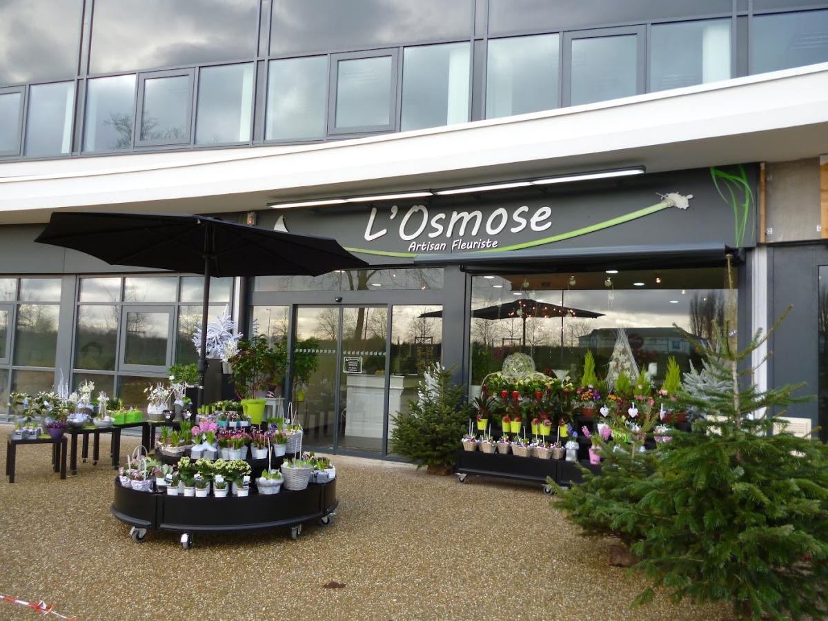 l'Osmose Fleuriste