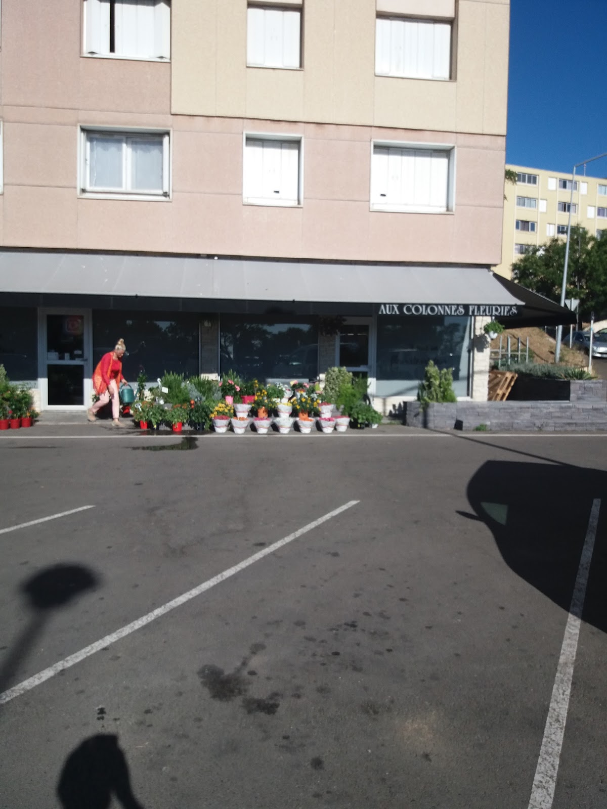 Aux Colonnes Fleuries