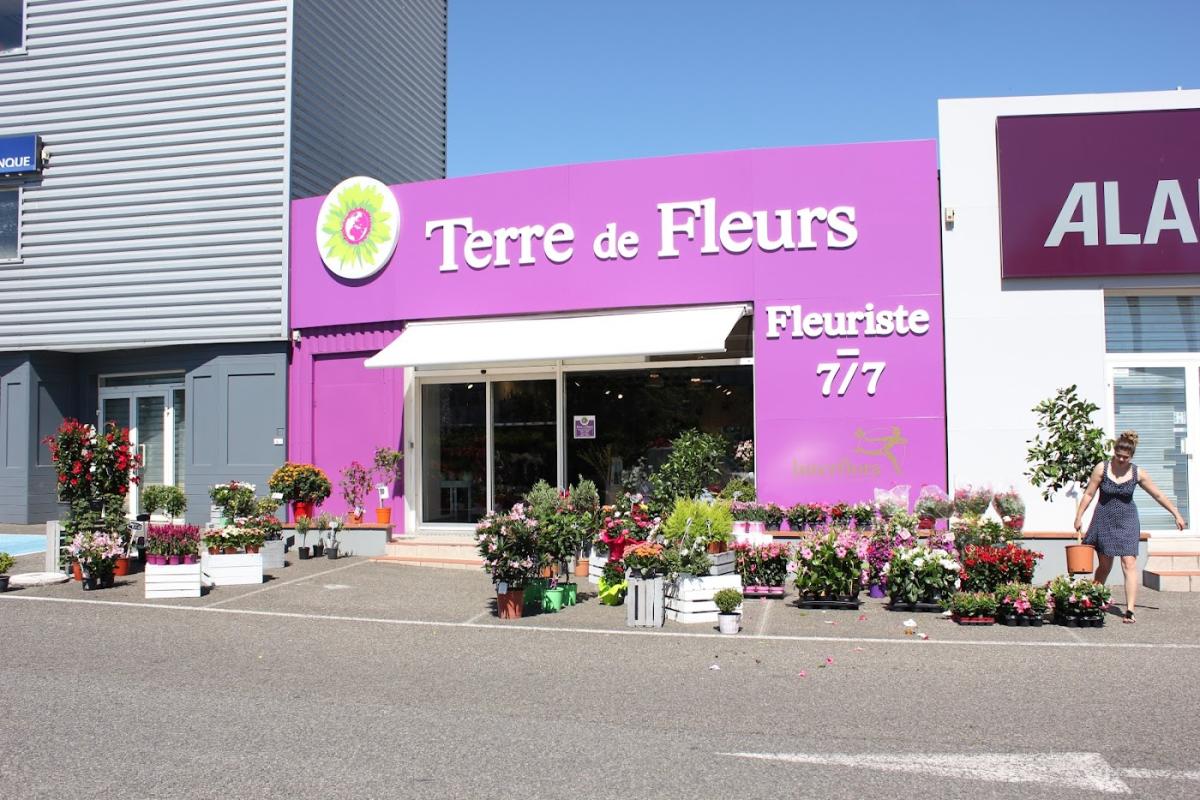 Terre de Fleurs Montauban - Interflora
