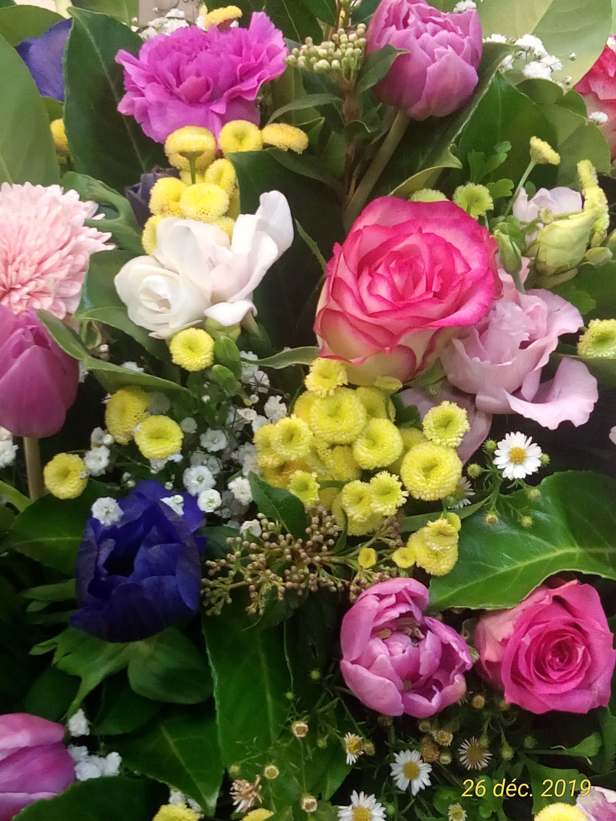 CAPUCINE (Interflora)