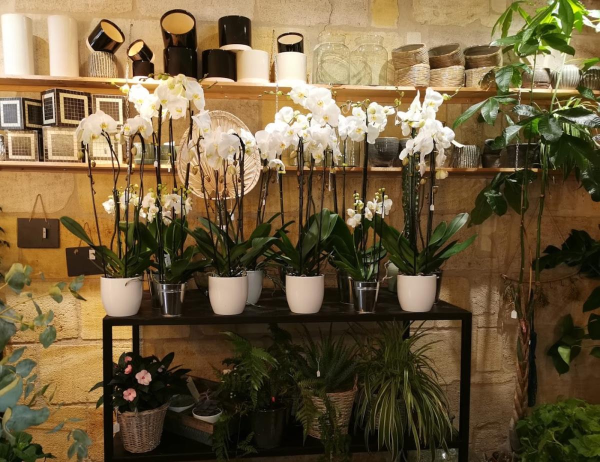 Natacha Delabriere artisan fleuriste