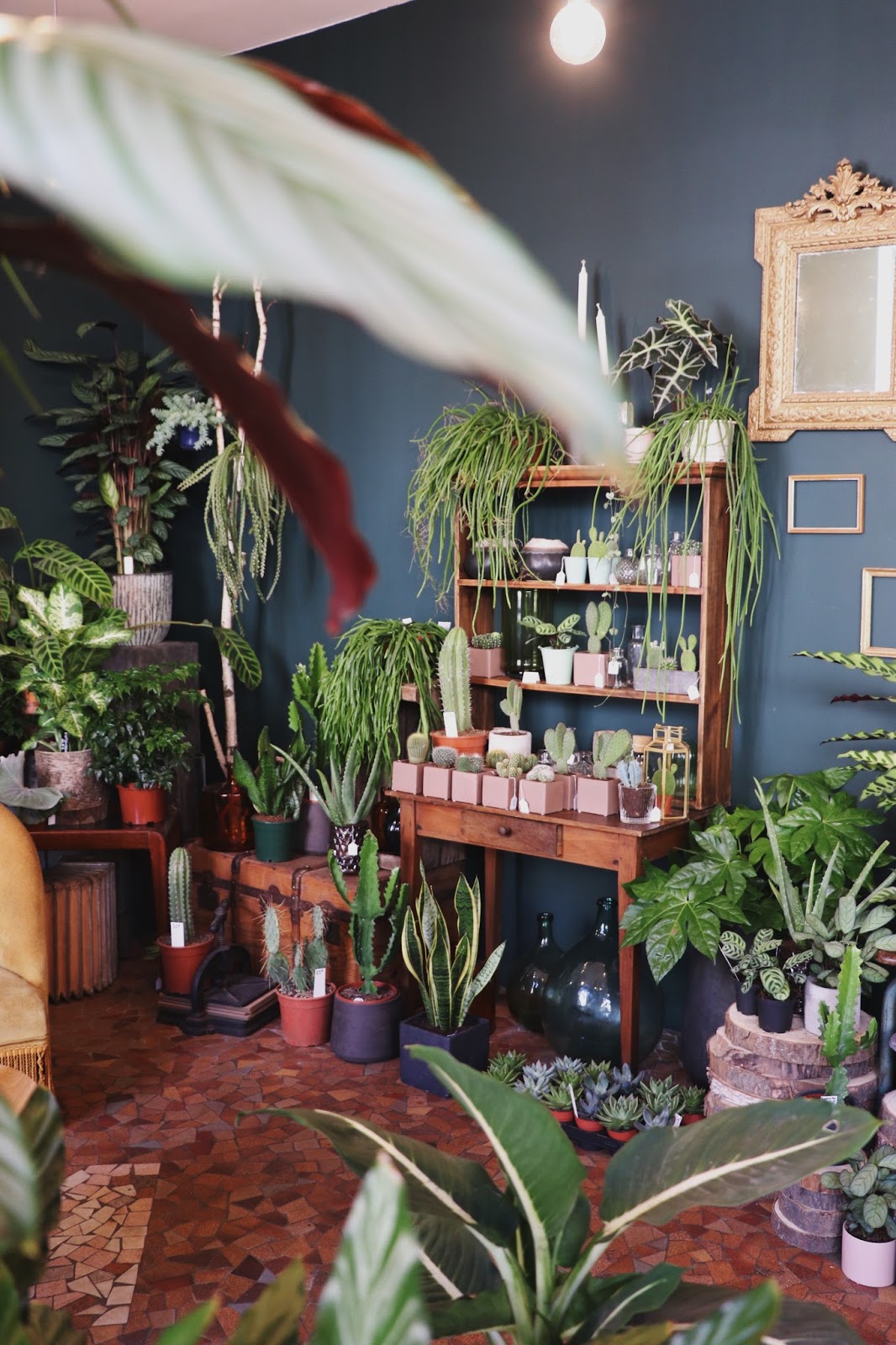 Les Mauvaises Herbes