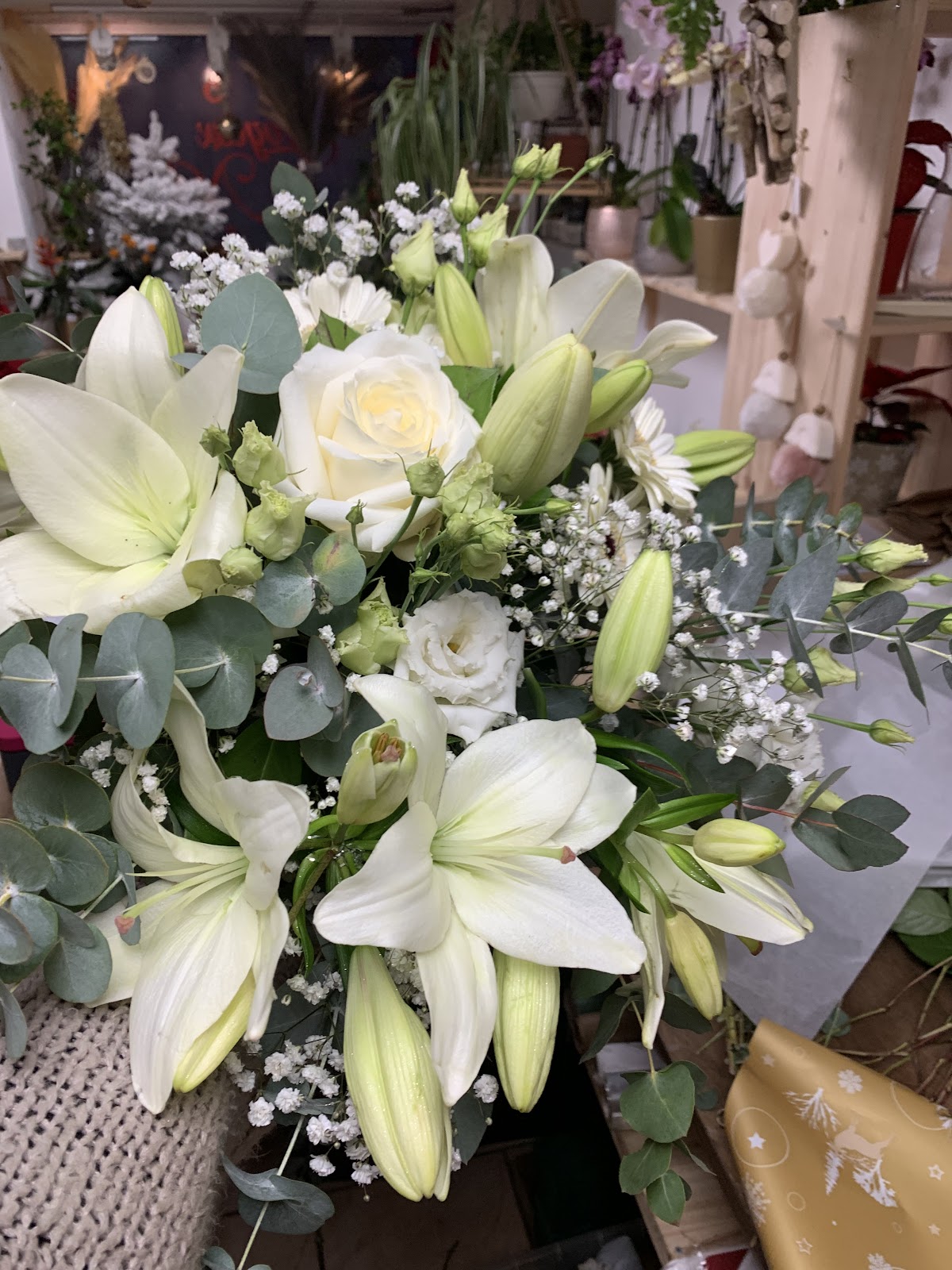 Les Fleurs De La Vie