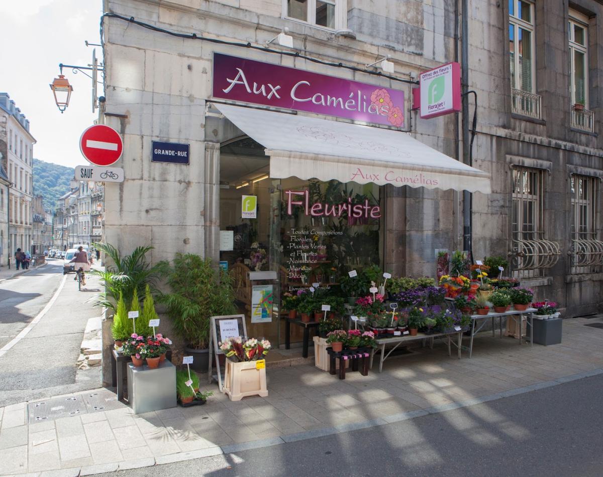 Aux Camélias Fleuriste