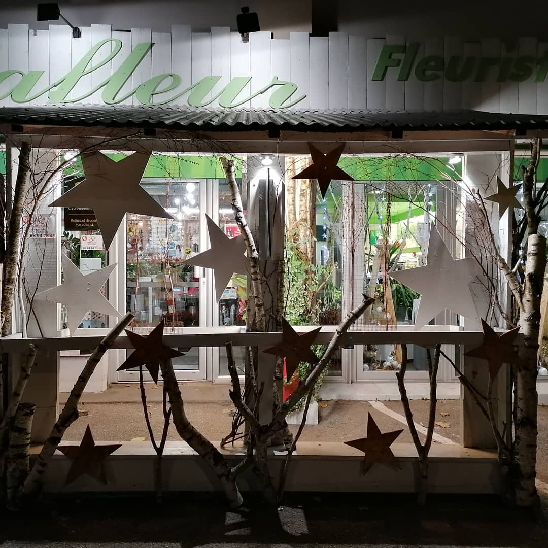 Jo lafleur | Fleuriste Besançon