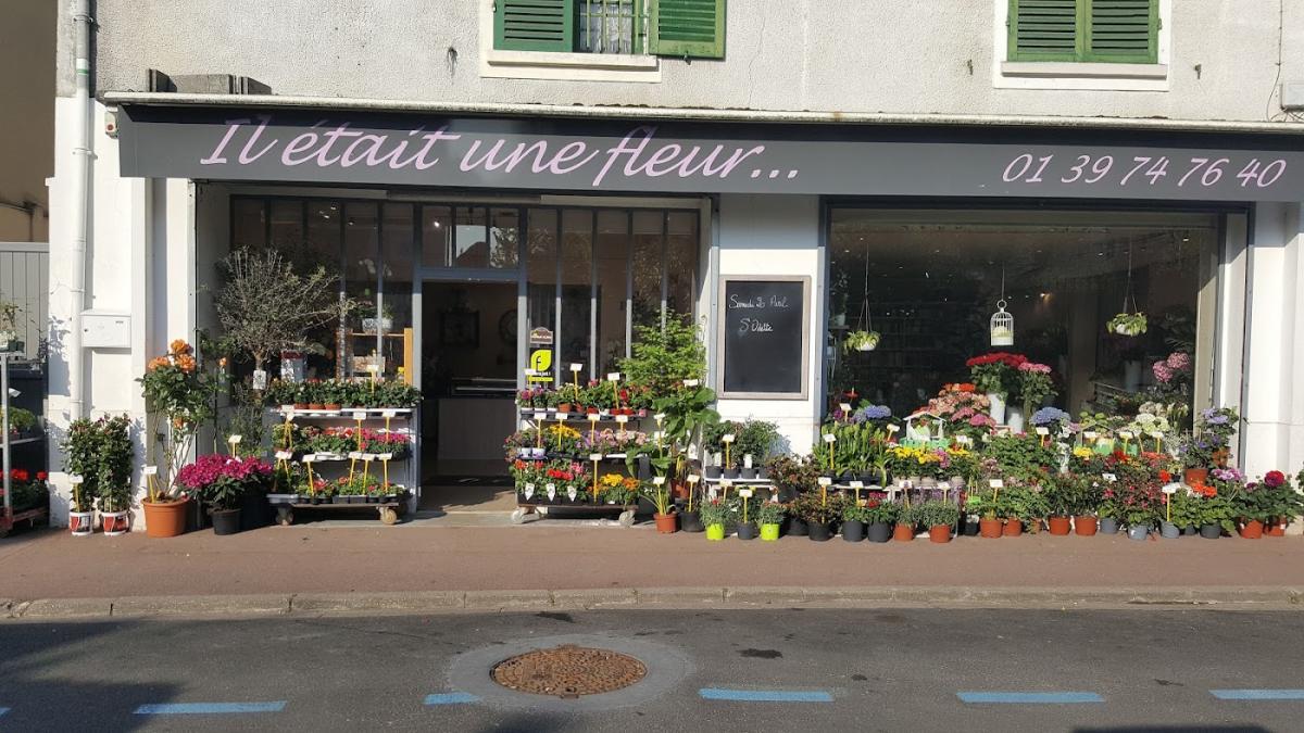 Il était une fleur...
