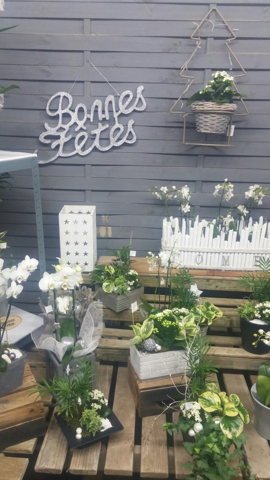 Les serres de Steenwerck