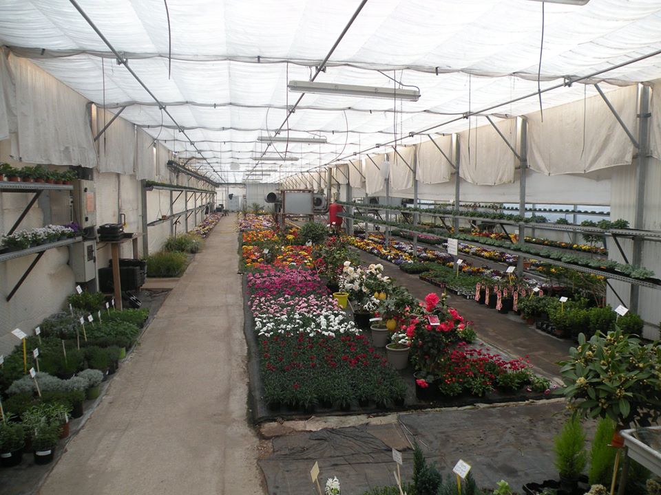 EARL Les Serres du Faing Horticulture