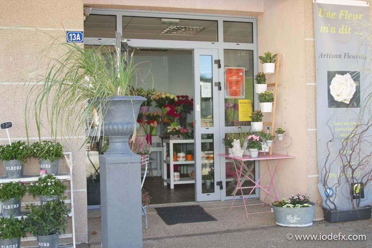 Une Fleur m'a dit...