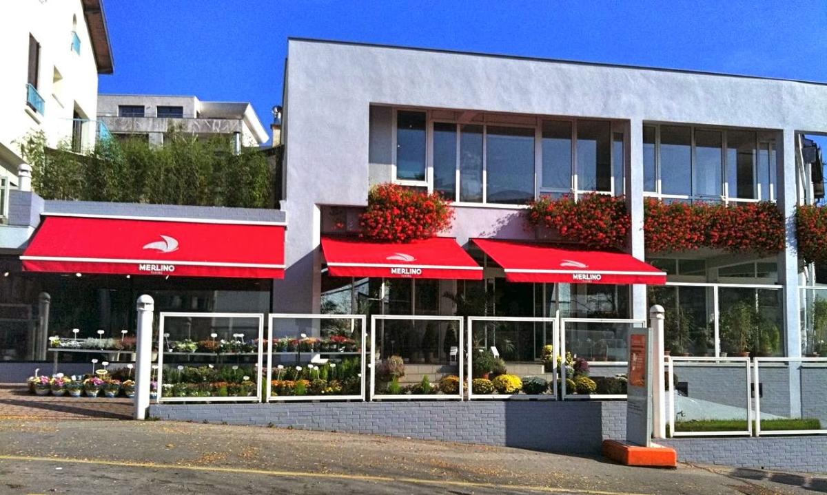 MERLINO FLEURS