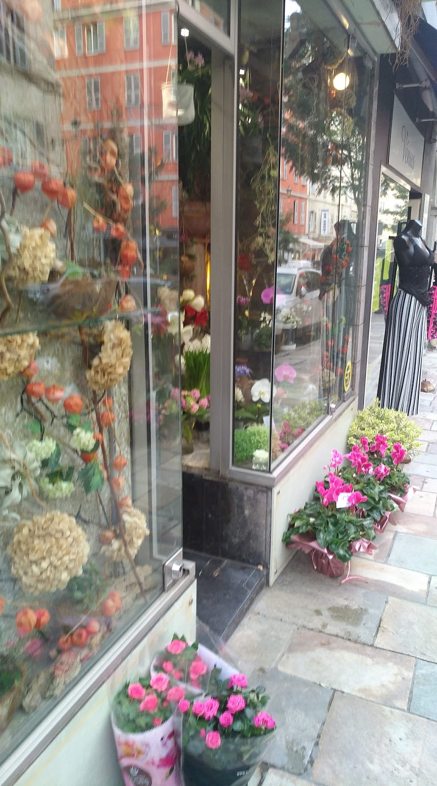 L'Orchidée Bastia | Fleuriste Bastia