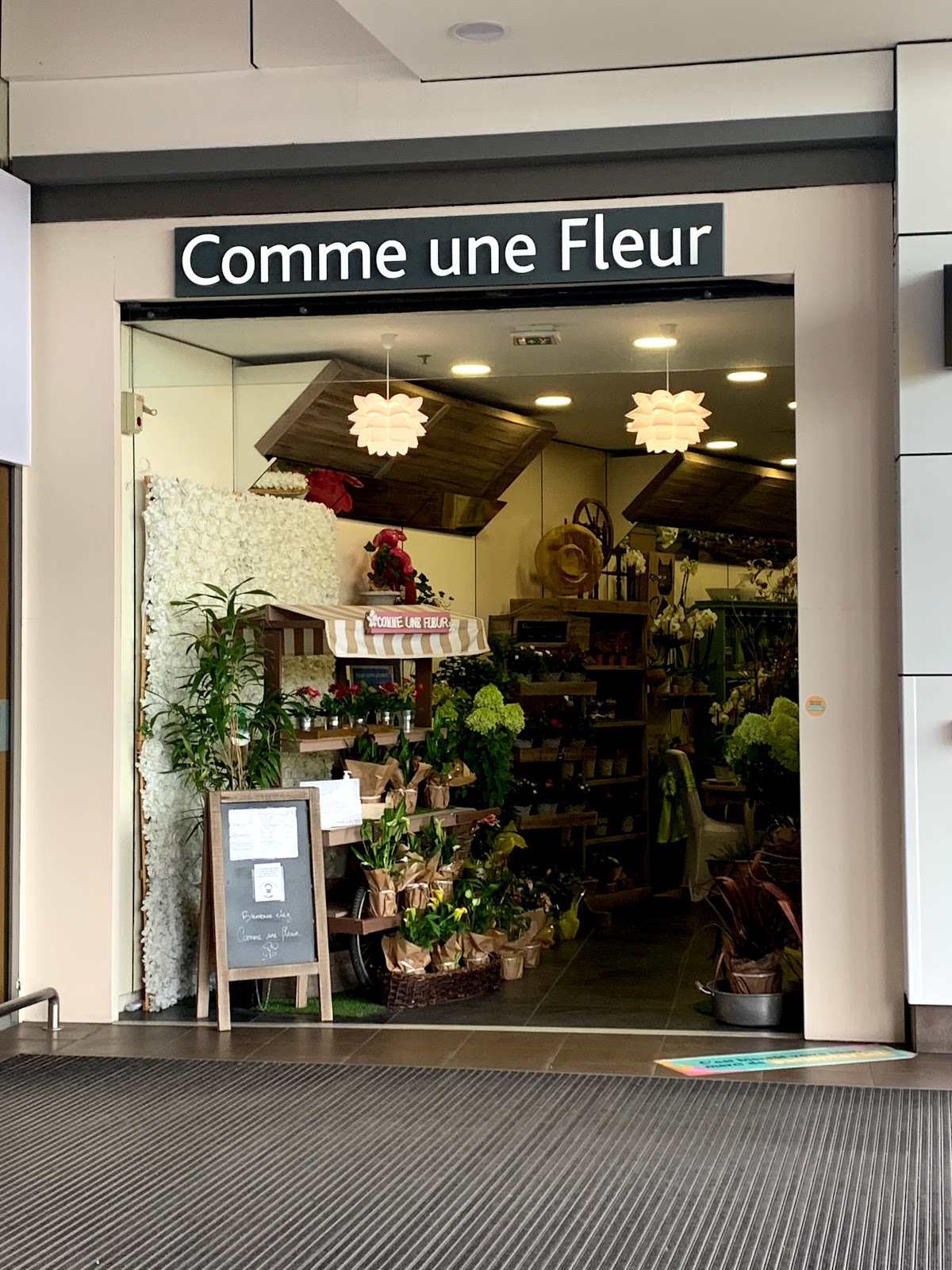Comme Une Fleur