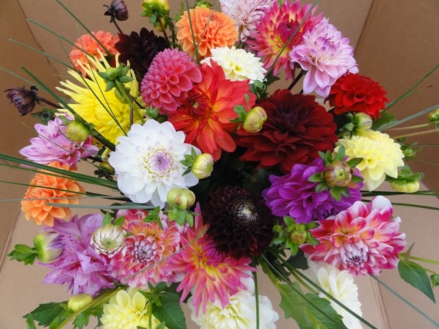 LA BOUQUETTERIE DU SOLEIL