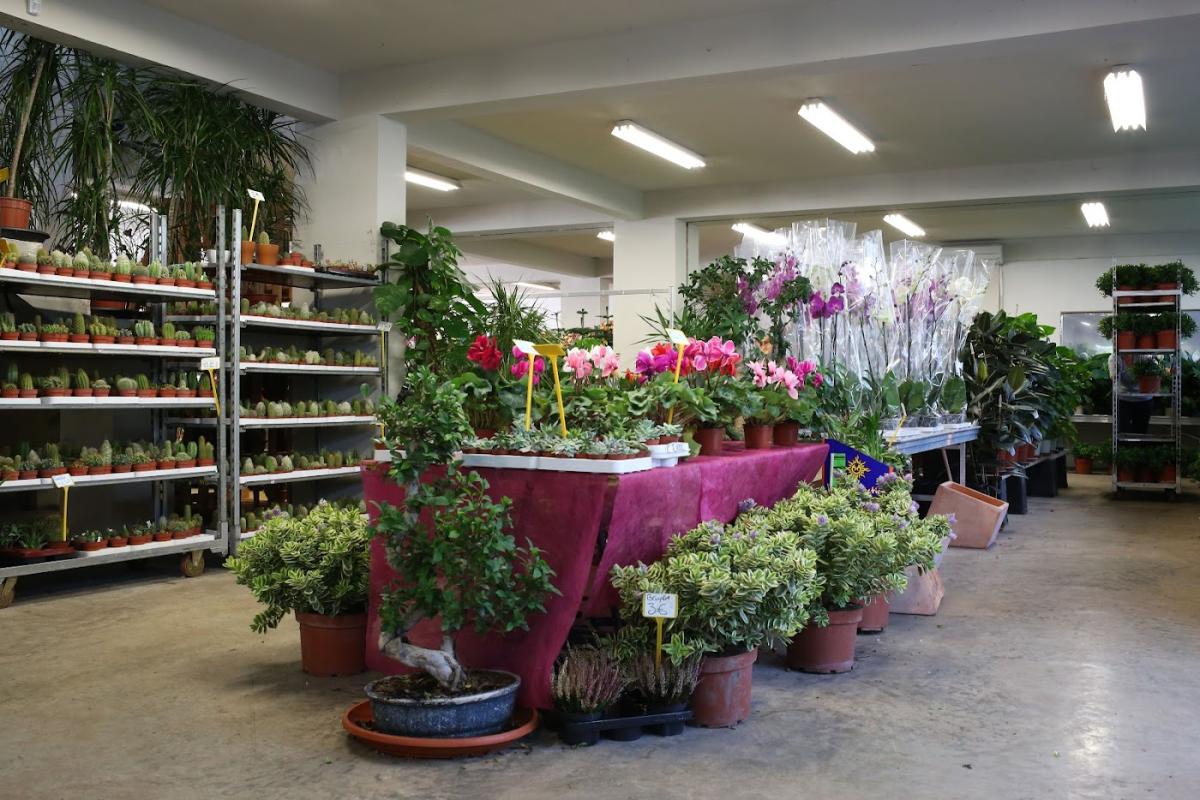 Céline Horticulture