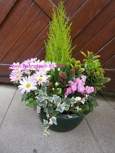 fleursdeuil-91