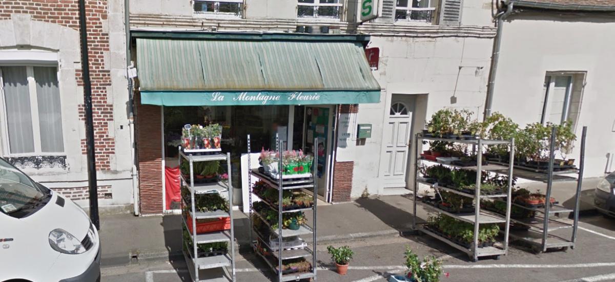 La Montagne Fleurie