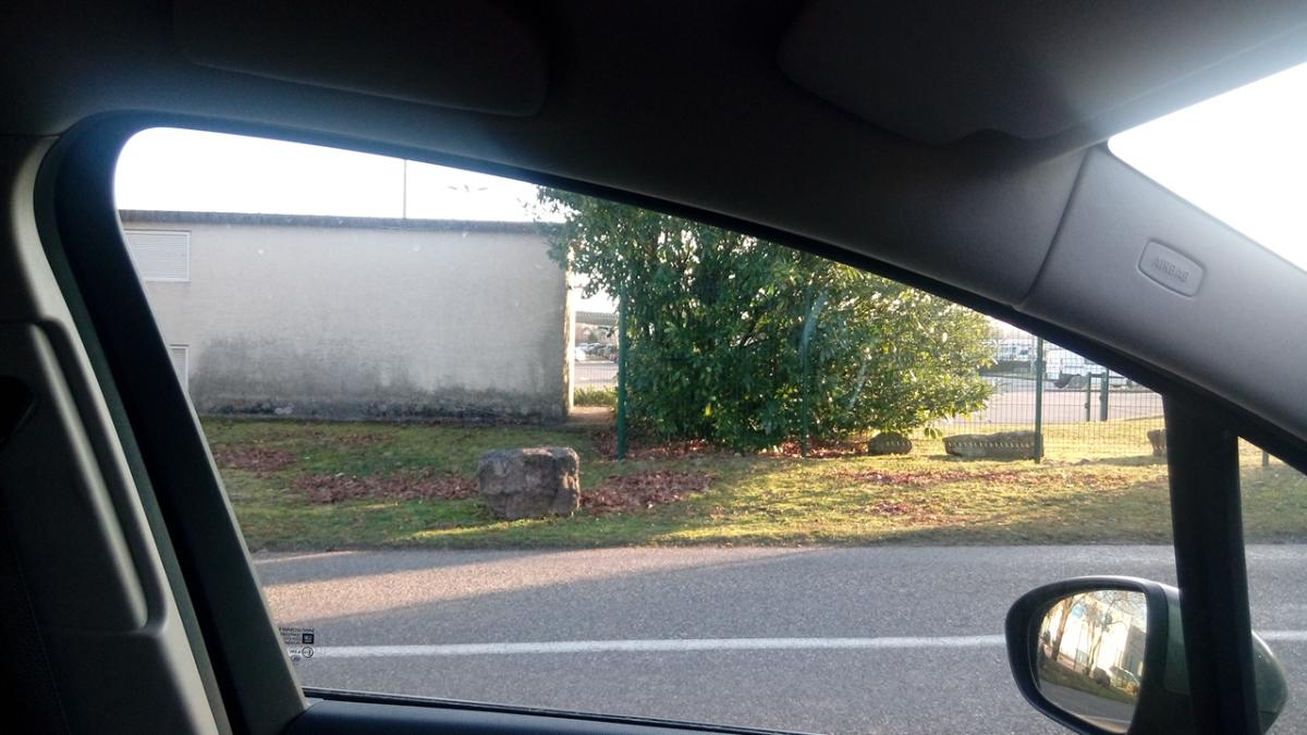 Fleuriste Gertwiller | Flore et Sens