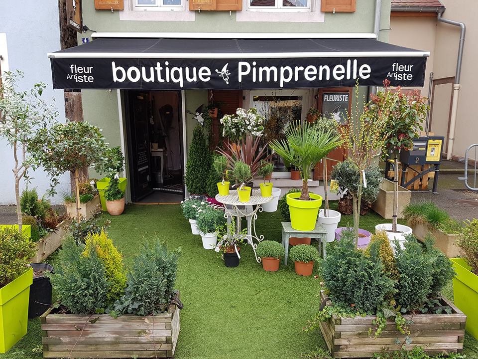 Boutique Pimprenelle